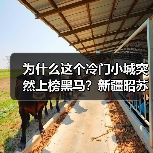 为什么这个冷门小城突然上榜黑马?新疆昭苏的神秘之旅(图2) 为什么这个冷门小城突然上榜黑马?新疆昭苏的神秘之旅(图2)