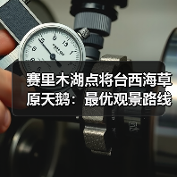 赛里木湖点将台西海草原天鹅:最优观景路线到底在哪?(图1) 赛里木湖点将台西海草原天鹅:最优观景路线到底在哪?(图1)