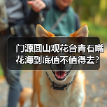 门源圆山观花台青石嘴花海到底值不值得去?(图3) 门源圆山观花台青石嘴花海到底值不值得去?(图3)