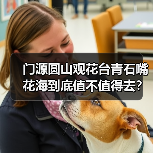 门源圆山观花台青石嘴花海到底值不值得去?(图4) 门源圆山观花台青石嘴花海到底值不值得去?(图4)