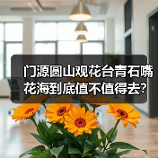 门源圆山观花台青石嘴花海到底值不值得去?(图2) 门源圆山观花台青石嘴花海到底值不值得去?(图2)
