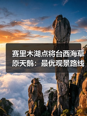 赛里木湖点将台西海草原天鹅:最优观景路线到底在哪?(图4) 赛里木湖点将台西海草原天鹅:最优观景路线到底在哪?(图4)