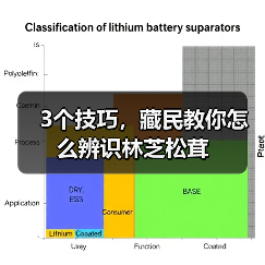 3个技巧,藏民教你怎么辨识林芝松茸(图1) 3个技巧,藏民教你怎么辨识林芝松茸(图1)