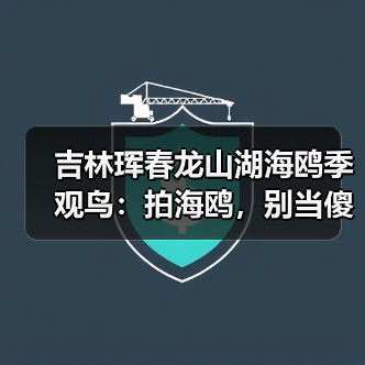 吉林珲春龙山湖海鸥季观鸟:拍海鸥,别当傻子(图3) 吉林珲春龙山湖海鸥季观鸟:拍海鸥,别当傻子(图3)