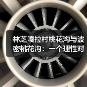 林芝嘎拉村桃花沟与波密桃花沟:一个理性对比(图3) 林芝嘎拉村桃花沟与波密桃花沟:一个理性对比(图3)