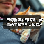 青海俄博梁硫磺湖,你真的了解它的火星感从哪来吗(图4) 青海俄博梁硫磺湖,你真的了解它的火星感从哪来吗(图4)