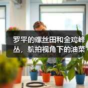 罗平的螺丝田和金鸡峰丛,航拍视角下的油菜花海为什么这么特别(图4) 罗平的螺丝田和金鸡峰丛,航拍视角下的油菜花海为什么这么特别(图4)