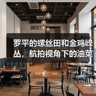 罗平的螺丝田和金鸡峰丛,航拍视角下的油菜花海为什么这么特别(图2) 罗平的螺丝田和金鸡峰丛,航拍视角下的油菜花海为什么这么特别(图2)
