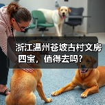 浙江温州苍坡古村文房四宝,值得去吗?(图2) 浙江温州苍坡古村文房四宝,值得去吗?(图2)