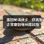 墨脱秘境徒步,你真敢走背崩到格林那段路?(图3) 墨脱秘境徒步,你真敢走背崩到格林那段路?(图3)