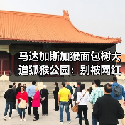马达加斯加猴面包树大道狐猴公园:别被网红图骗了,这3个坑80%的人踩过(图4) 马达加斯加猴面包树大道狐猴公园:别被网红图骗了,这3个坑80%的人踩过(图4)