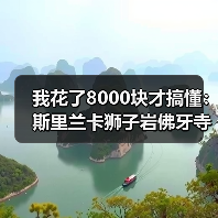 我花了8000块才搞懂:斯里兰卡狮子岩佛牙寺高山茶园到底怎么玩?(图4) 我花了8000块才搞懂:斯里兰卡狮子岩佛牙寺高山茶园到底怎么玩?(图4)