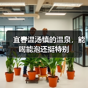 宜春温汤镇的温泉,能喝能泡还挺特别(图3) 宜春温汤镇的温泉,能喝能泡还挺特别(图3)