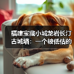 福建宝藏小城龙岩长汀古城墙：一个被低估的时空标本（图2）
