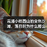 霞浦小皓西山的金色沙滩,落日时为什么那么好看(图1) 霞浦小皓西山的金色沙滩,落日时为什么那么好看(图1)