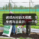 诺邓古村的太极图、玉皇阁与古盐井:一个反常识的观察(图3) 诺邓古村的太极图、玉皇阁与古盐井:一个反常识的观察(图3)