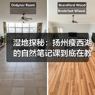 湿地探秘：扬州瘦西湖的自然笔记课到底在教什么（图2）