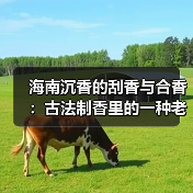 海南沉香的刮香与合香：古法制香里的一种老手艺（图4）