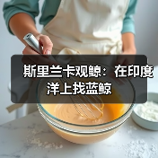 斯里兰卡观鲸：在印度洋上找蓝鲸（图3）