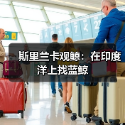 斯里兰卡观鲸：在印度洋上找蓝鲸（图2）