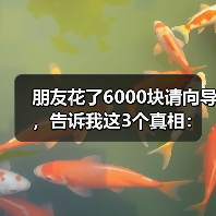 朋友花了6000块请向导,告诉我这3个真相:长穿毕徒步路线长坪沟穿越毕棚沟(图3) 朋友花了6000块请向导,告诉我这3个真相:长穿毕徒步路线长坪沟穿越毕棚沟(图3)
