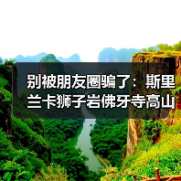 别被朋友圈骗了：斯里兰卡狮子岩佛牙寺高山茶园真实体验（图4）