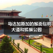马达加斯加的猴面包树大道和狐猴公园(图1) 马达加斯加的猴面包树大道和狐猴公园(图1)