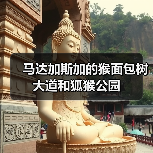 马达加斯加的猴面包树大道和狐猴公园(图2) 马达加斯加的猴面包树大道和狐猴公园(图2)