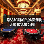 马达加斯加的猴面包树大道和狐猴公园(图4) 马达加斯加的猴面包树大道和狐猴公园(图4)