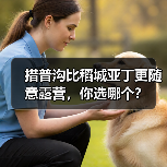 措普沟比稻城亚丁更随意露营,你选哪个?(图1) 措普沟比稻城亚丁更随意露营,你选哪个?(图1)