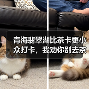 青海翡翠湖比茶卡更小众打卡,我劝你别去茶卡了(图2) 青海翡翠湖比茶卡更小众打卡,我劝你别去茶卡了(图2)