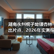 湖南永州桐子坳银杏林出片点,2026年实测指南(图2) 湖南永州桐子坳银杏林出片点,2026年实测指南(图2)