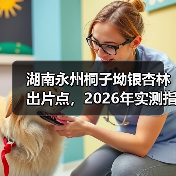 湖南永州桐子坳银杏林出片点,2026年实测指南(图4) 湖南永州桐子坳银杏林出片点,2026年实测指南(图4)