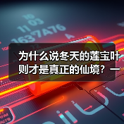 为什么说冬天的莲宝叶则才是真正的仙境?一个普通游客的踩坑实录(图1) 为什么说冬天的莲宝叶则才是真正的仙境?一个普通游客的踩坑实录(图1)