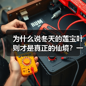 为什么说冬天的莲宝叶则才是真正的仙境?一个普通游客的踩坑实录(图3) 为什么说冬天的莲宝叶则才是真正的仙境?一个普通游客的踩坑实录(图3)