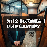 为什么说冬天的莲宝叶则才是真正的仙境?一个普通游客的踩坑实录(图4) 为什么说冬天的莲宝叶则才是真正的仙境?一个普通游客的踩坑实录(图4)