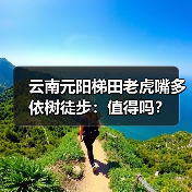 云南元阳梯田老虎嘴多依树徒步:值得吗?(图1) 云南元阳梯田老虎嘴多依树徒步:值得吗?(图1)