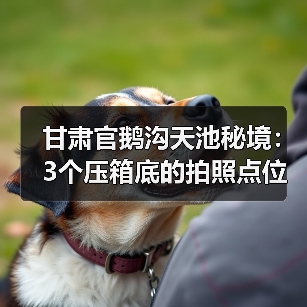 甘肃官鹅沟天池秘境:3个压箱底的拍照点位,出片率翻倍(图4) 甘肃官鹅沟天池秘境:3个压箱底的拍照点位,出片率翻倍(图4)