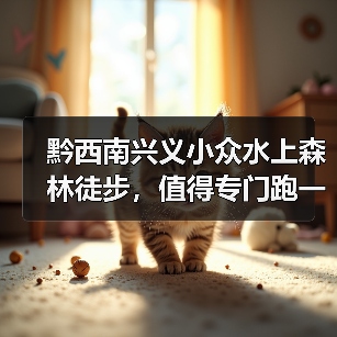 黔西南兴义小众水上森林徒步,值得专门跑一趟吗?(图2) 黔西南兴义小众水上森林徒步,值得专门跑一趟吗?(图2)