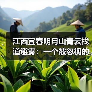 江西宜春明月山青云栈道避雾:一个被忽视的天气博弈(图4) 江西宜春明月山青云栈道避雾:一个被忽视的天气博弈(图4)