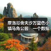 摩洛哥舍夫沙万蓝色小镇马角公园:一个数据观察者的冷静拆解(图3) 摩洛哥舍夫沙万蓝色小镇马角公园:一个数据观察者的冷静拆解(图3)