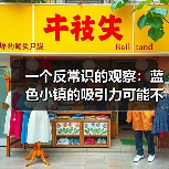 一个反常识的观察：蓝色小镇的吸引力可能不在于蓝色（图3）