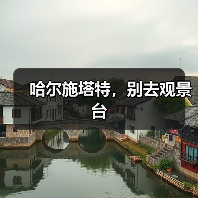 哈尔施塔特，别去观景台（图2）