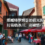 挪威特罗姆瑟的极光狗拉雪橇冰川,别被旅行社忽悠了(图4) 挪威特罗姆瑟的极光狗拉雪橇冰川,别被旅行社忽悠了(图4)