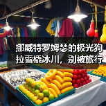 挪威特罗姆瑟的极光狗拉雪橇冰川,别被旅行社忽悠了(图2) 挪威特罗姆瑟的极光狗拉雪橇冰川,别被旅行社忽悠了(图2)