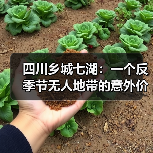 四川乡城七湖:一个反季节无人地带的意外价值(图4) 四川乡城七湖:一个反季节无人地带的意外价值(图4)
