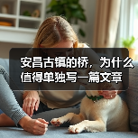 安昌古镇的桥,为什么值得单独写一篇文章(图4) 安昌古镇的桥,为什么值得单独写一篇文章(图4)