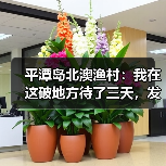 平潭岛北澳渔村:我在这破地方待了三天,发现网上攻略全扯淡(图3) 平潭岛北澳渔村:我在这破地方待了三天,发现网上攻略全扯淡(图3)