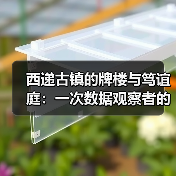 西递古镇的牌楼与笃谊庭:一次数据观察者的田野笔记(图3) 西递古镇的牌楼与笃谊庭:一次数据观察者的田野笔记(图3)