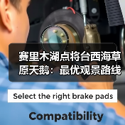 赛里木湖点将台西海草原天鹅：最优观景路线到底在哪？（图2）
